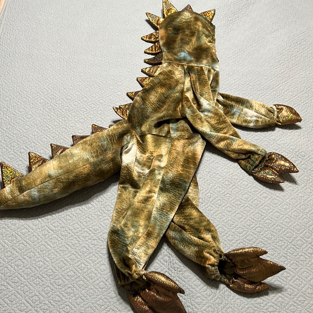 Dinosaur dragon kid costume dress up play
